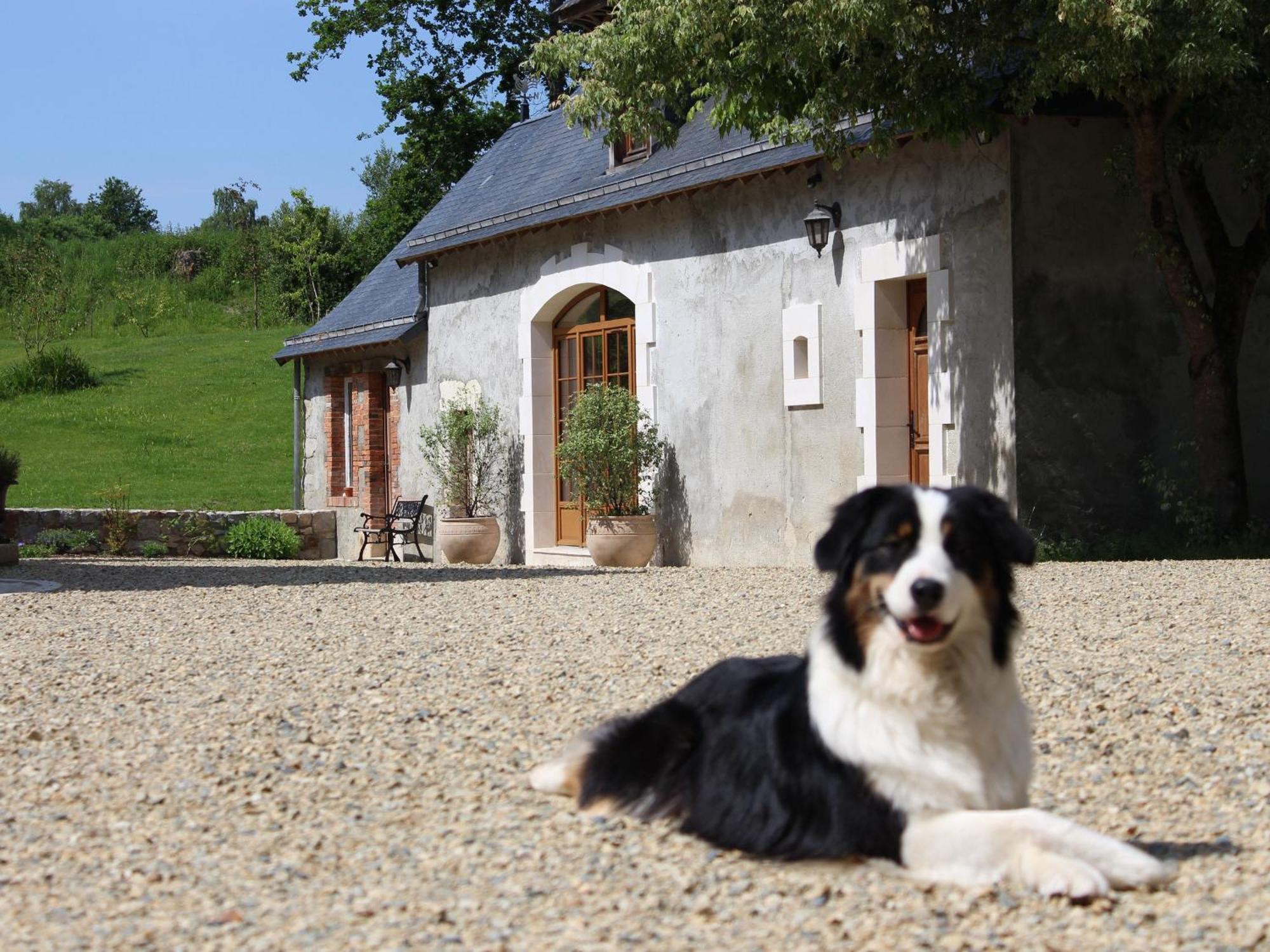 Gîte Cérans-Foulletourte-Cérans, 2 pièces, 6 personnes - FR-1-410-258 Extérieur photo